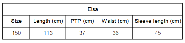 Elsa dress - for rental